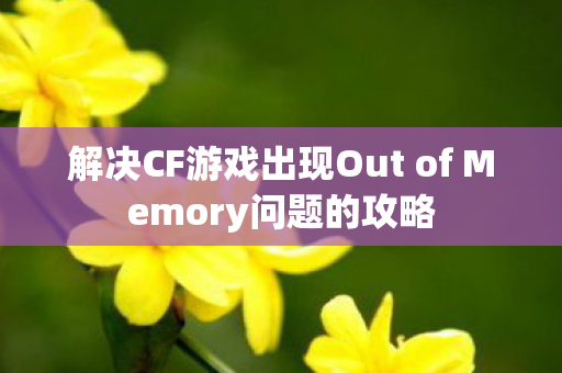 解决CF游戏出现Out of Memory问题的攻略 解决CF游戏出现Out of Memory问题的攻略