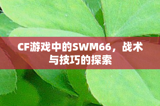 CF游戏中的SWM66,战术与技巧的探索 CF游戏中的SWM66,战术与技巧的探索