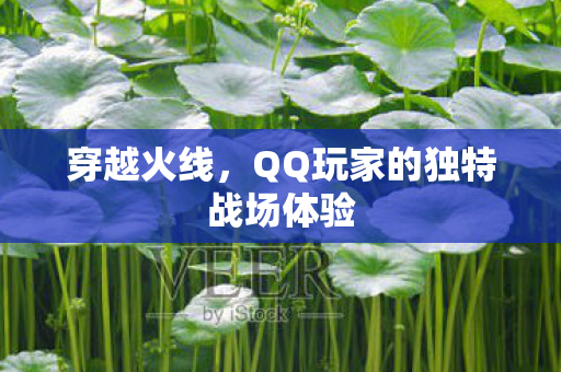 穿越火线,QQ玩家的独特战场体验 穿越火线,QQ玩家的独特战场体验
