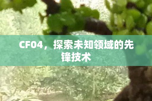 CF04,探索未知领域的先锋技术 CF04,探索未知领域的先锋技术