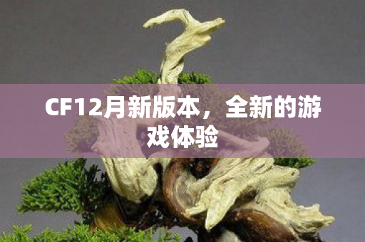 CF12月新版本，全新的游戏体验