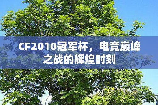 CF2010冠军杯,电竞巅峰之战的辉煌时刻 CF2010冠军杯,电竞巅峰之战的辉煌时刻
