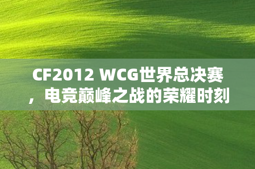 CF2012 WCG世界总决赛，电竞巅峰之战的荣耀时刻