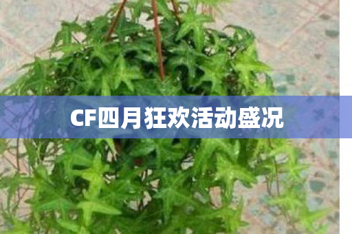 CF四月狂欢活动盛况 CF四月狂欢活动盛况