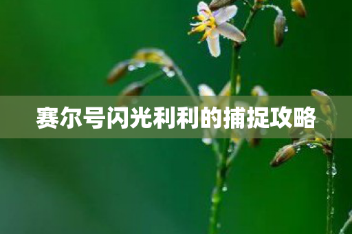 赛尔号闪光利利的捕捉攻略 赛尔号闪光利利的捕捉攻略