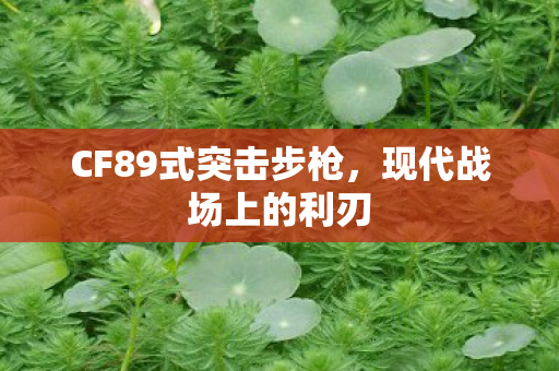 CF89式突击步枪，现代战场上的利刃