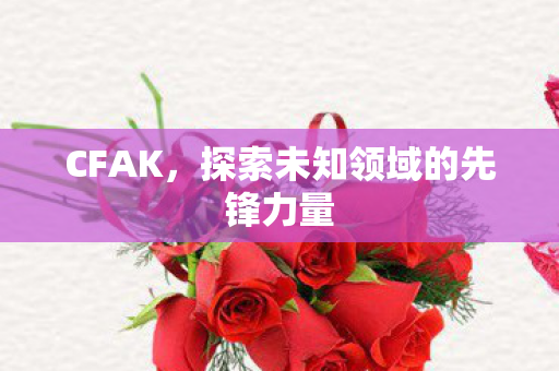 CFAK,探索未知领域的先锋力量 CFAK,探索未知领域的先锋力量