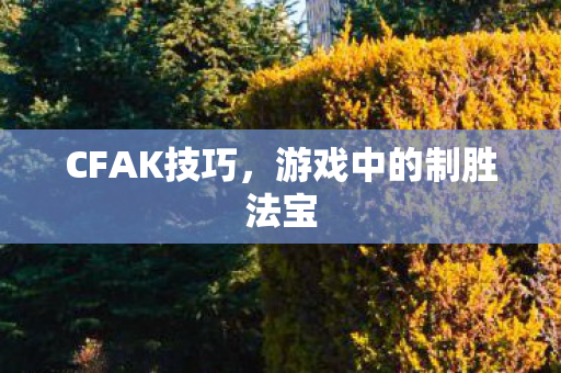 CFAK技巧,游戏中的制胜法宝 CFAK技巧,游戏中的制胜法宝