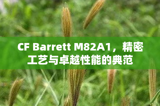 CF Barrett M82A1,精密工艺与卓越性能的典范 CF Barrett M82A1,精密工艺与卓越性能的典范