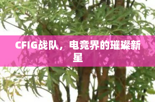 CFIG战队,电竞界的璀璨新星 CFIG战队,电竞界的璀璨新星