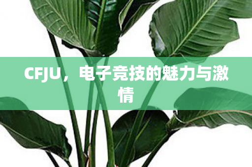 CFJU,电子竞技的魅力与激情 CFJU,电子竞技的魅力与激情