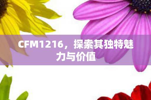 CFM1216,探索其独特魅力与价值 CFM1216,探索其独特魅力与价值