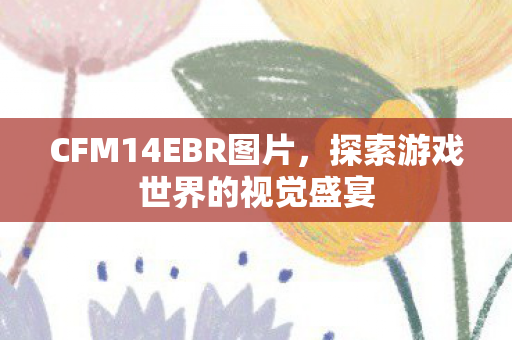 CFM14EBR图片,探索游戏世界的视觉盛宴 CFM14EBR图片,探索游戏世界的视觉盛宴