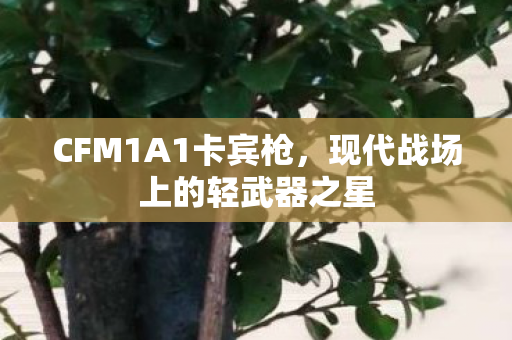 CFM1A1卡宾枪,现代战场上的轻武器之星 CFM1A1卡宾枪,现代战场上的轻武器之星