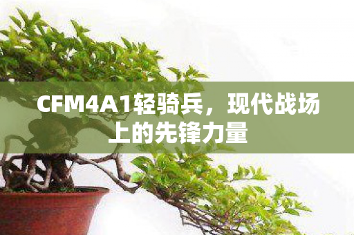 CFM4A1轻骑兵，现代战场上的先锋力量