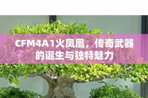 CFM4A1火凤凰,传奇武器的诞生与独特魅力 CFM4A1火凤凰,传奇武器的诞生与独特魅力