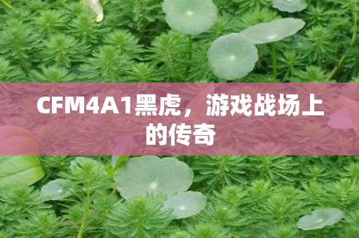 CFM4A1黑虎，游戏战场上的传奇