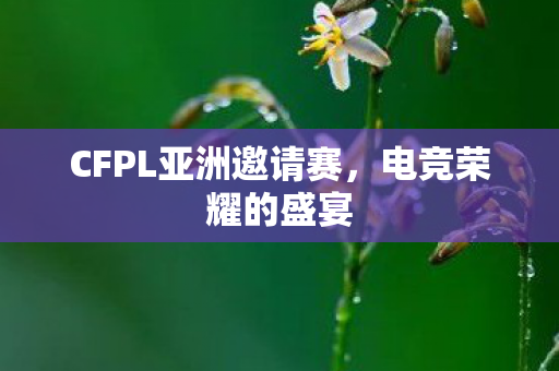 CFPL亚洲邀请赛，电竞荣耀的盛宴