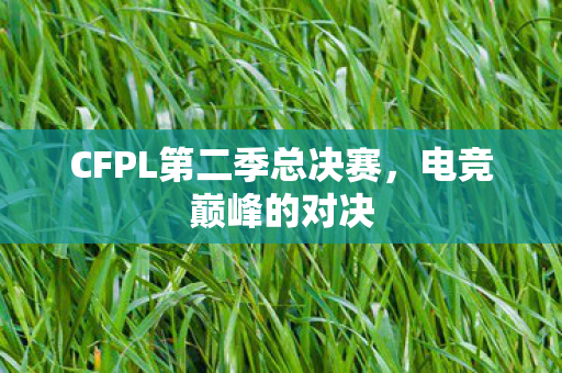 CFPL第二季总决赛,电竞巅峰的对决 CFPL第二季总决赛,电竞巅峰的对决