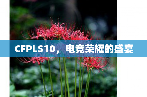 CFPLS10,电竞荣耀的盛宴 CFPLS10,电竞荣耀的盛宴
