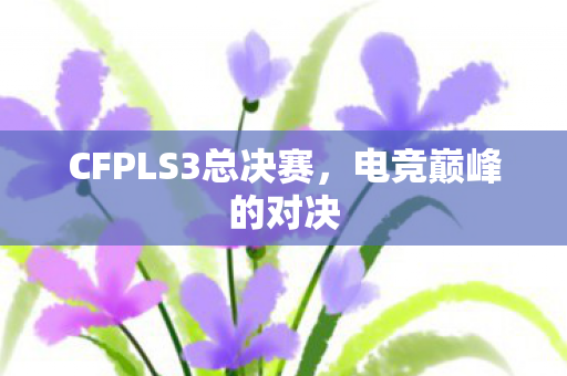 CFPLS3总决赛，电竞巅峰的对决