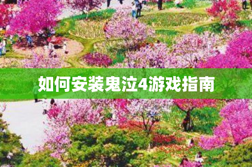 如何安装鬼泣4游戏指南 如何安装鬼泣4游戏指南