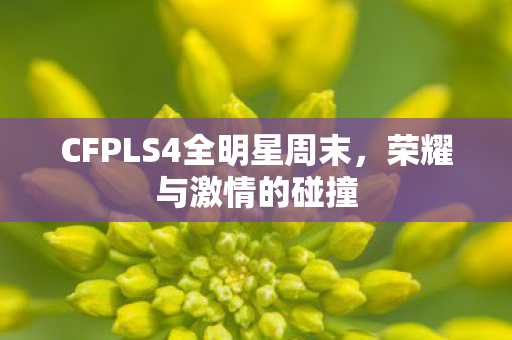 CFPLS4全明星周末,荣耀与激情的碰撞 CFPLS4全明星周末,荣耀与激情的碰撞