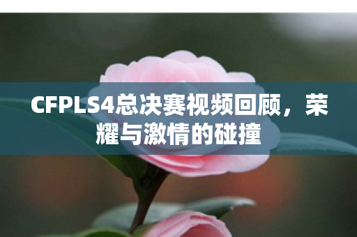 CFPLS4总决赛视频回顾,荣耀与激情的碰撞 CFPLS4总决赛视频回顾,荣耀与激情的碰撞