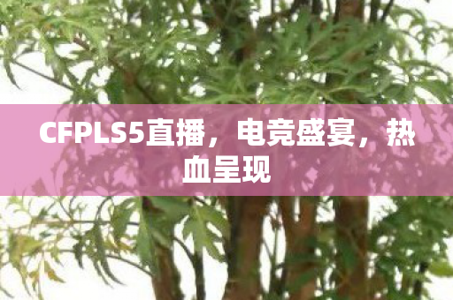 CFPLS5直播，电竞盛宴，热血呈现