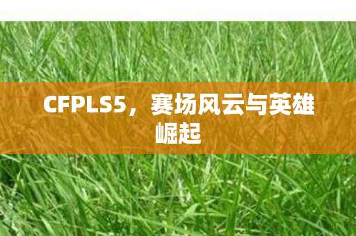 CFPLS5,赛场风云与英雄崛起 CFPLS5,赛场风云与英雄崛起