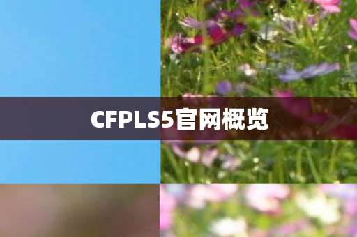 CFPLS5官网概览