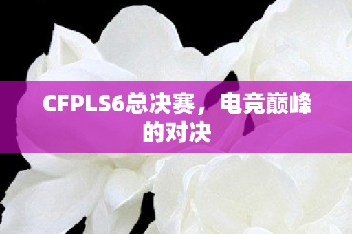 CFPLS6总决赛，电竞巅峰的对决