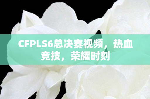 CFPLS6总决赛视频，热血竞技，荣耀时刻