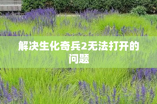 解决生化奇兵2无法打开的问题 解决生化奇兵2无法打开的问题