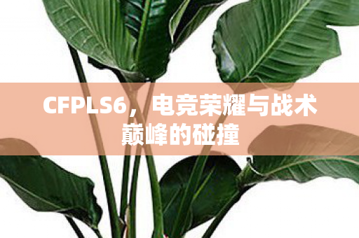 CFPLS6，电竞荣耀与战术巅峰的碰撞