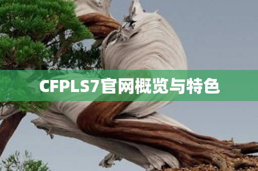 CFPLS7官网概览与特色