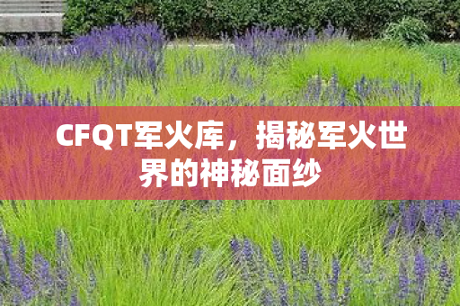 CFQT军火库,揭秘军火世界的神秘面纱 CFQT军火库,揭秘军火世界的神秘面纱