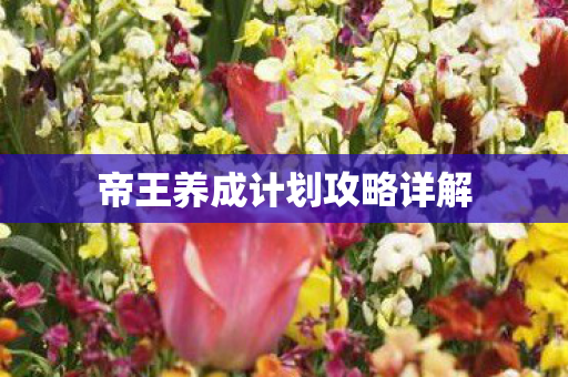 帝王养成计划攻略详解 帝王养成计划攻略详解