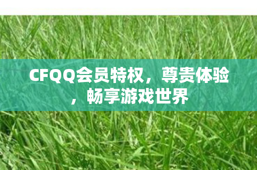 CFQQ会员特权,尊贵体验,畅享游戏世界 CFQQ会员特权,尊贵体验,畅享游戏世界