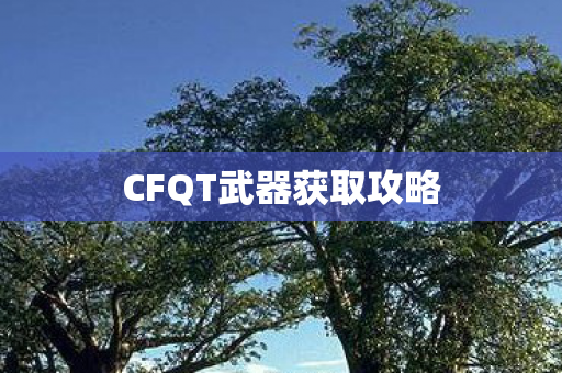 CFQT武器获取攻略 CFQT武器获取攻略