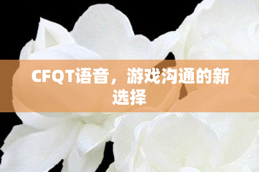 CFQT语音,游戏沟通的新选择 CFQT语音,游戏沟通的新选择