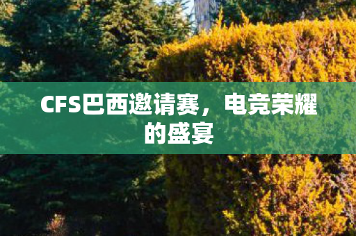 CFS巴西邀请赛,电竞荣耀的盛宴 CFS巴西邀请赛,电竞荣耀的盛宴