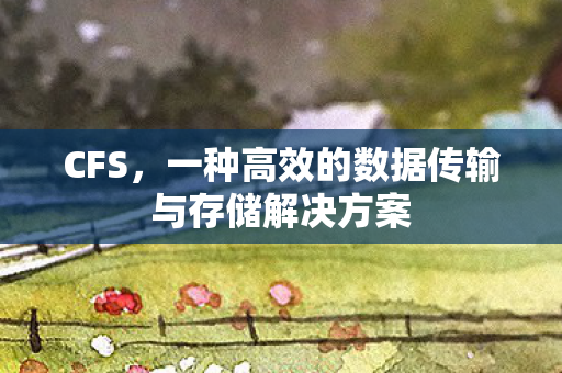 CFS，一种高效的数据传输与存储解决方案