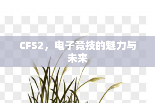 CFS2,电子竞技的魅力与未来 CFS2,电子竞技的魅力与未来