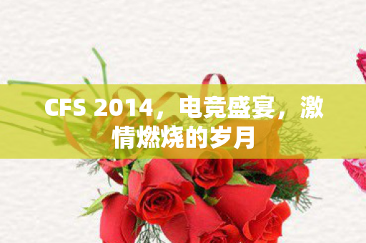 CFS 2014,电竞盛宴,激情燃烧的岁月 CFS 2014,电竞盛宴,激情燃烧的岁月