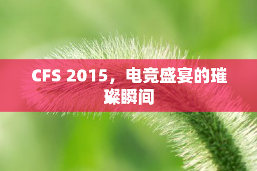 CFS 2015,电竞盛宴的璀璨瞬间 CFS 2015,电竞盛宴的璀璨瞬间