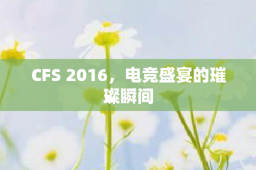 CFS 2016,电竞盛宴的璀璨瞬间 CFS 2016,电竞盛宴的璀璨瞬间