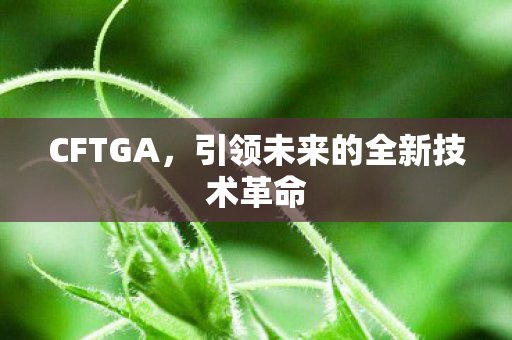 CFTGA,引领未来的全新技术革命 CFTGA,引领未来的全新技术革命