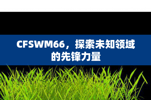 CFSWM66,探索未知领域的先锋力量 CFSWM66,探索未知领域的先锋力量
