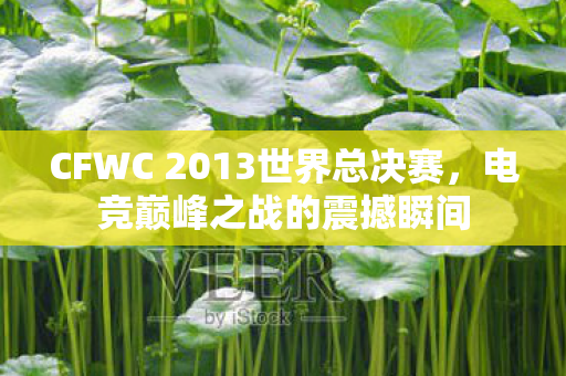 CFWC 2013世界总决赛,电竞巅峰之战的震撼瞬间 CFWC 2013世界总决赛,电竞巅峰之战的震撼瞬间
